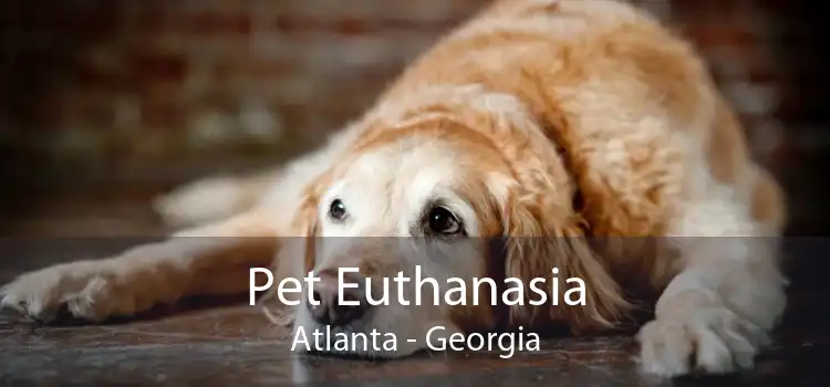 Pet Euthanasia Atlanta - Georgia