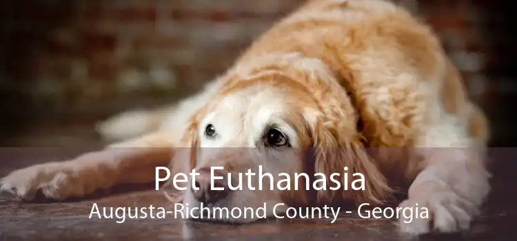 Pet Euthanasia Augusta-Richmond County - Georgia