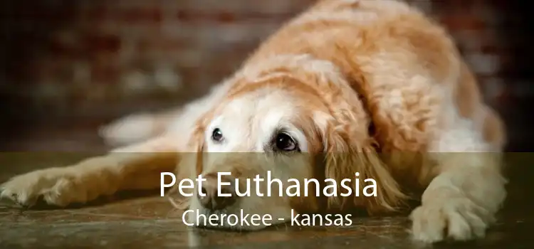Pet Euthanasia Cherokee - kansas
