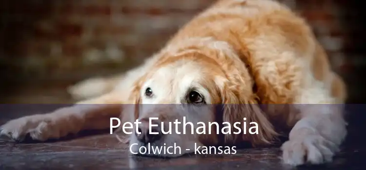 Pet Euthanasia Colwich - kansas