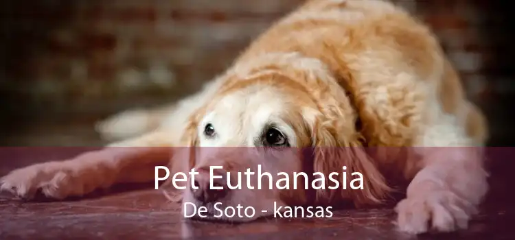 Pet Euthanasia De Soto - kansas