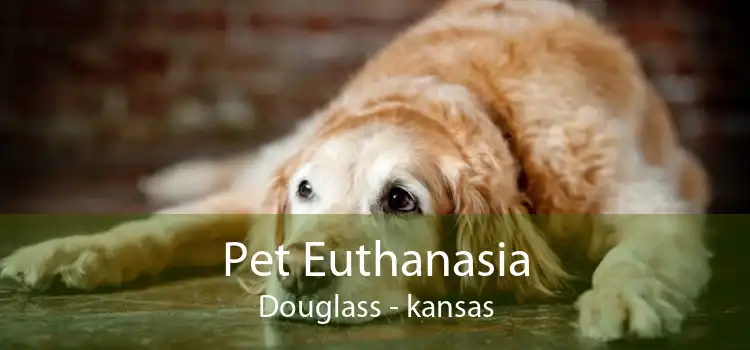 Pet Euthanasia Douglass - kansas