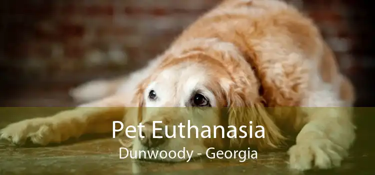 Pet Euthanasia Dunwoody - Georgia