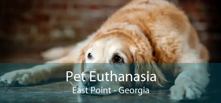Pet Euthanasia East Point - Georgia