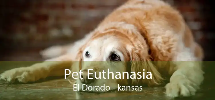 Pet Euthanasia El Dorado - kansas