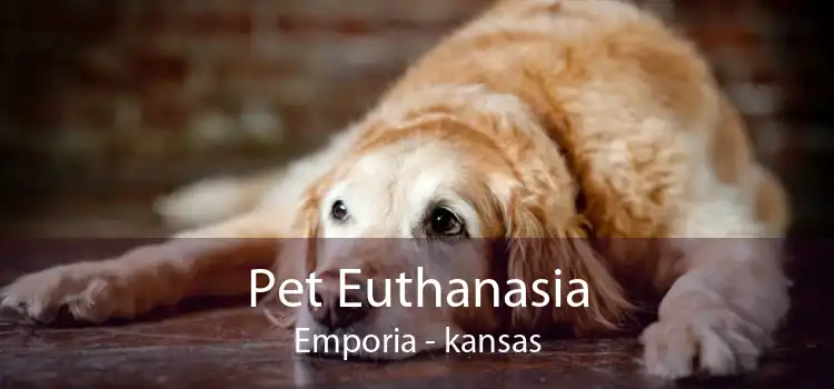 Pet Euthanasia Emporia - kansas