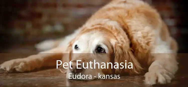 Pet Euthanasia Eudora - kansas