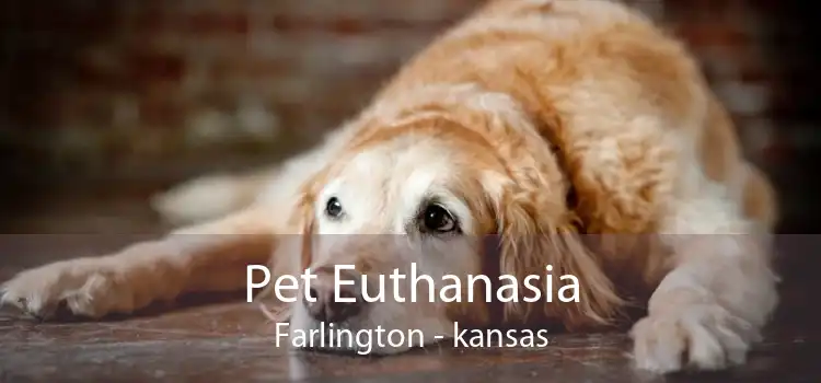 Pet Euthanasia Farlington - kansas