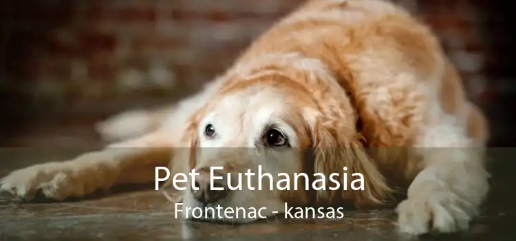 Pet Euthanasia Frontenac - kansas
