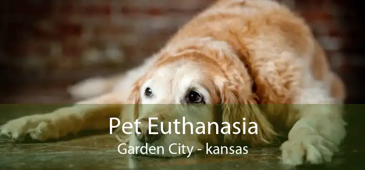 Pet Euthanasia Garden City - kansas