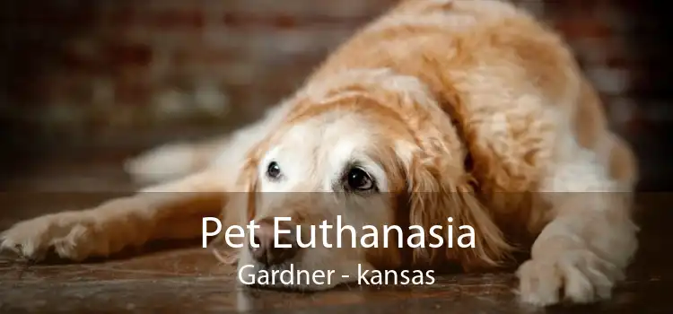 Pet Euthanasia Gardner - kansas