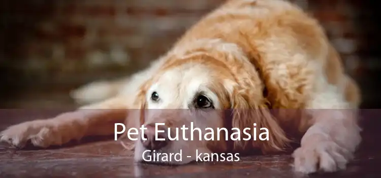 Pet Euthanasia Girard - kansas