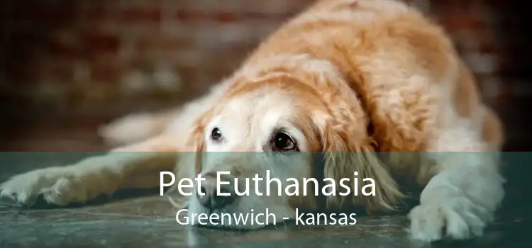 Pet Euthanasia Greenwich - kansas