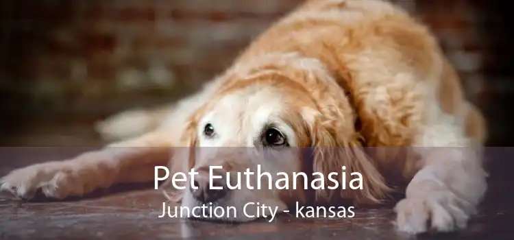 Pet Euthanasia Junction City - kansas