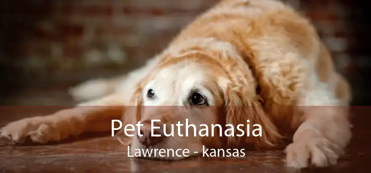 Pet Euthanasia Lawrence - kansas