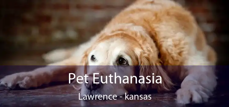 Pet Euthanasia Lawrence - kansas