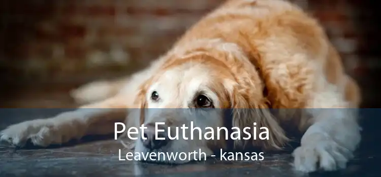 Pet Euthanasia Leavenworth - kansas