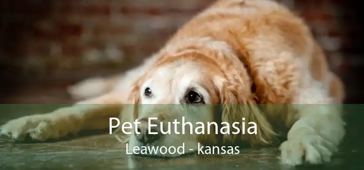 Pet Euthanasia Leawood - kansas