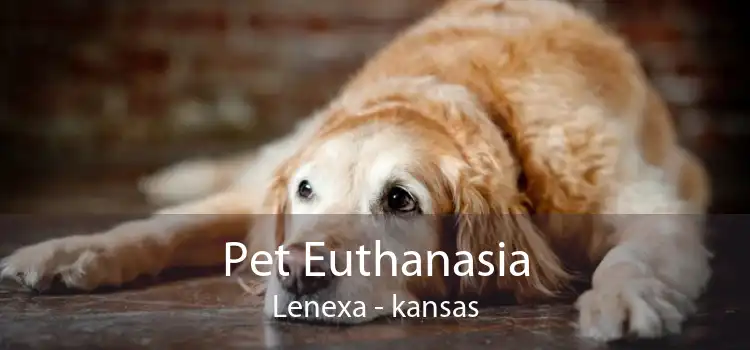 Pet Euthanasia Lenexa - kansas