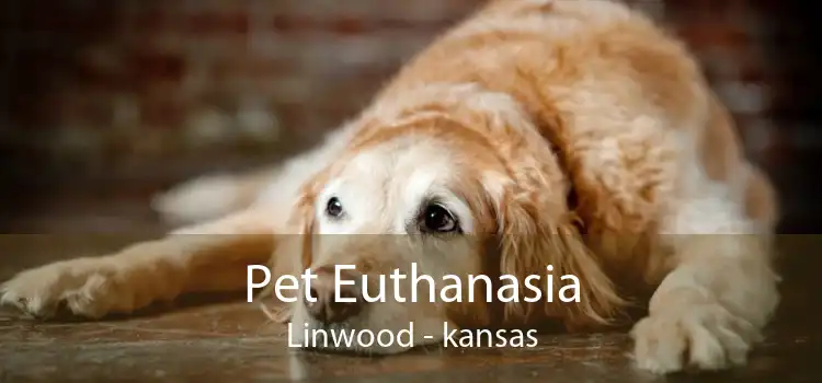 Pet Euthanasia Linwood - kansas