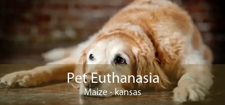 Pet Euthanasia Maize - kansas