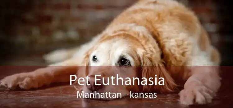 Pet Euthanasia Manhattan - kansas