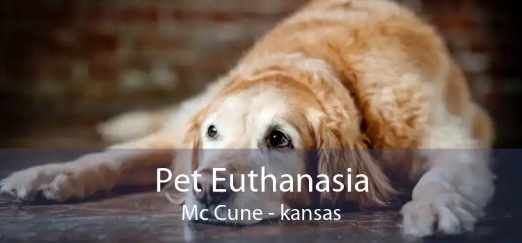 Pet Euthanasia Mc Cune - kansas