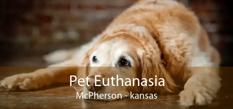 Pet Euthanasia McPherson - kansas