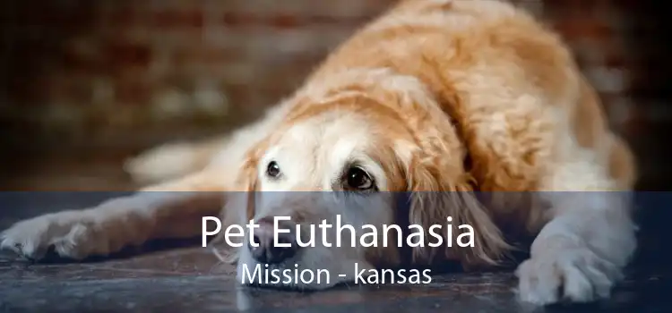 Pet Euthanasia Mission - kansas