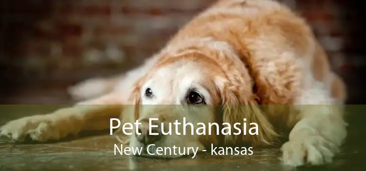 Pet Euthanasia New Century - kansas