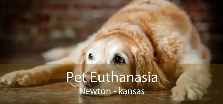 Pet Euthanasia Newton - kansas