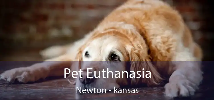 Pet Euthanasia Newton - kansas