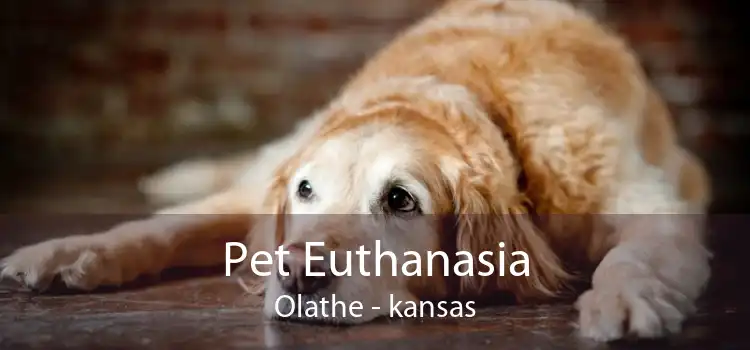 Pet Euthanasia Olathe - kansas