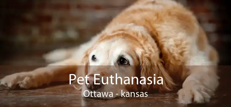 Pet Euthanasia Ottawa - kansas