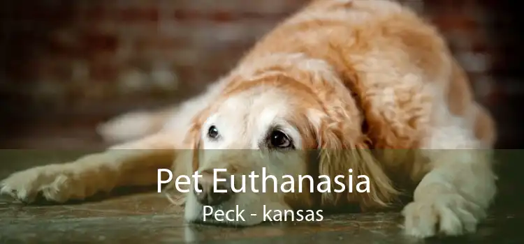 Pet Euthanasia Peck - kansas