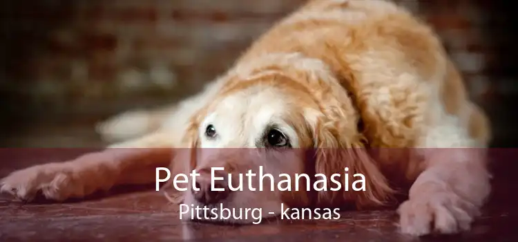 Pet Euthanasia Pittsburg - kansas
