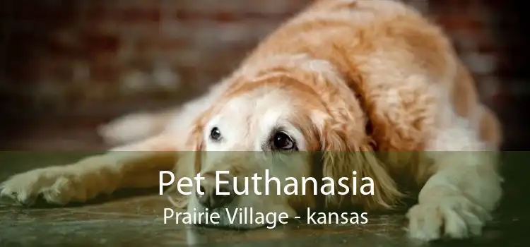 Pet Euthanasia Prairie Village - kansas