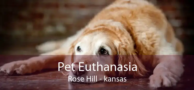 Pet Euthanasia Rose Hill - kansas