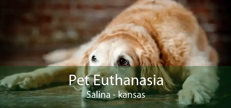 Pet Euthanasia Salina - kansas