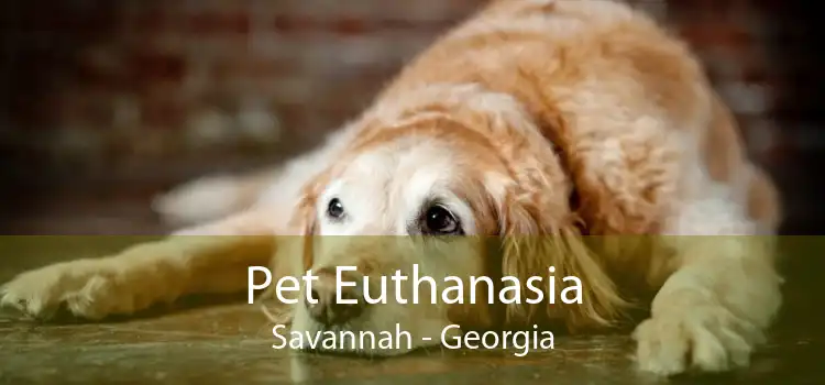 Pet Euthanasia Savannah - Georgia