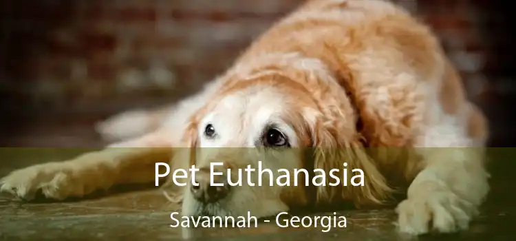 Pet Euthanasia Savannah - Georgia