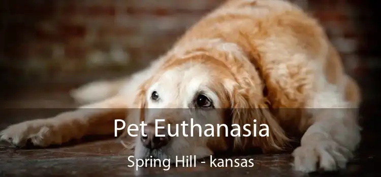 Pet Euthanasia Spring Hill - kansas