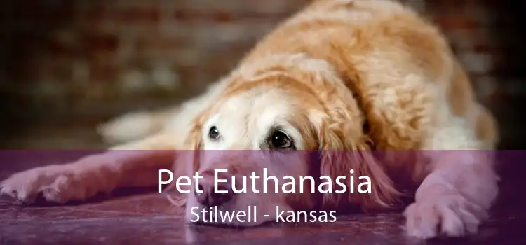 Pet Euthanasia Stilwell - kansas