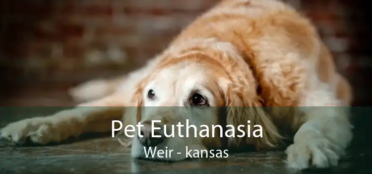 Pet Euthanasia Weir - kansas