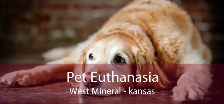 Pet Euthanasia West Mineral - kansas