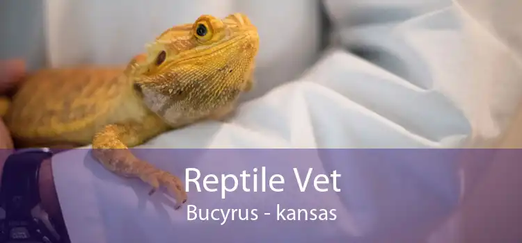 Reptile Vet Bucyrus - kansas