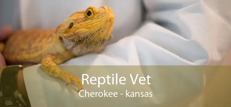 Reptile Vet Cherokee - kansas