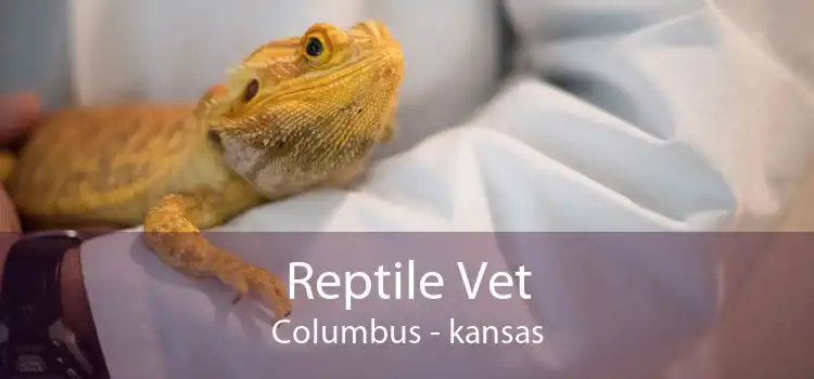 Reptile Vet Columbus - kansas