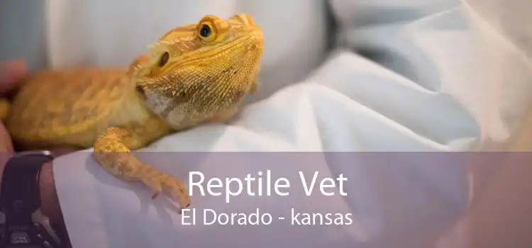 Reptile Vet El Dorado - kansas