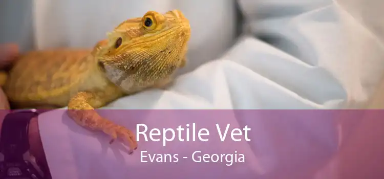 Reptile Vet Evans - Georgia